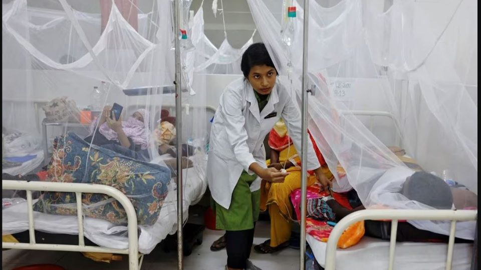 ডেঙ্গু: হাসপাতালে ভর্তি রোগী ২৩ হাজার ছাড়াল