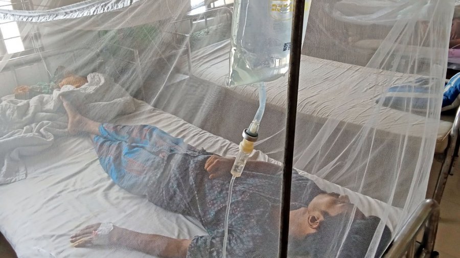 অক্টোবরে ডেঙ্গু রোগী ১০ হাজার ছাড়ালো